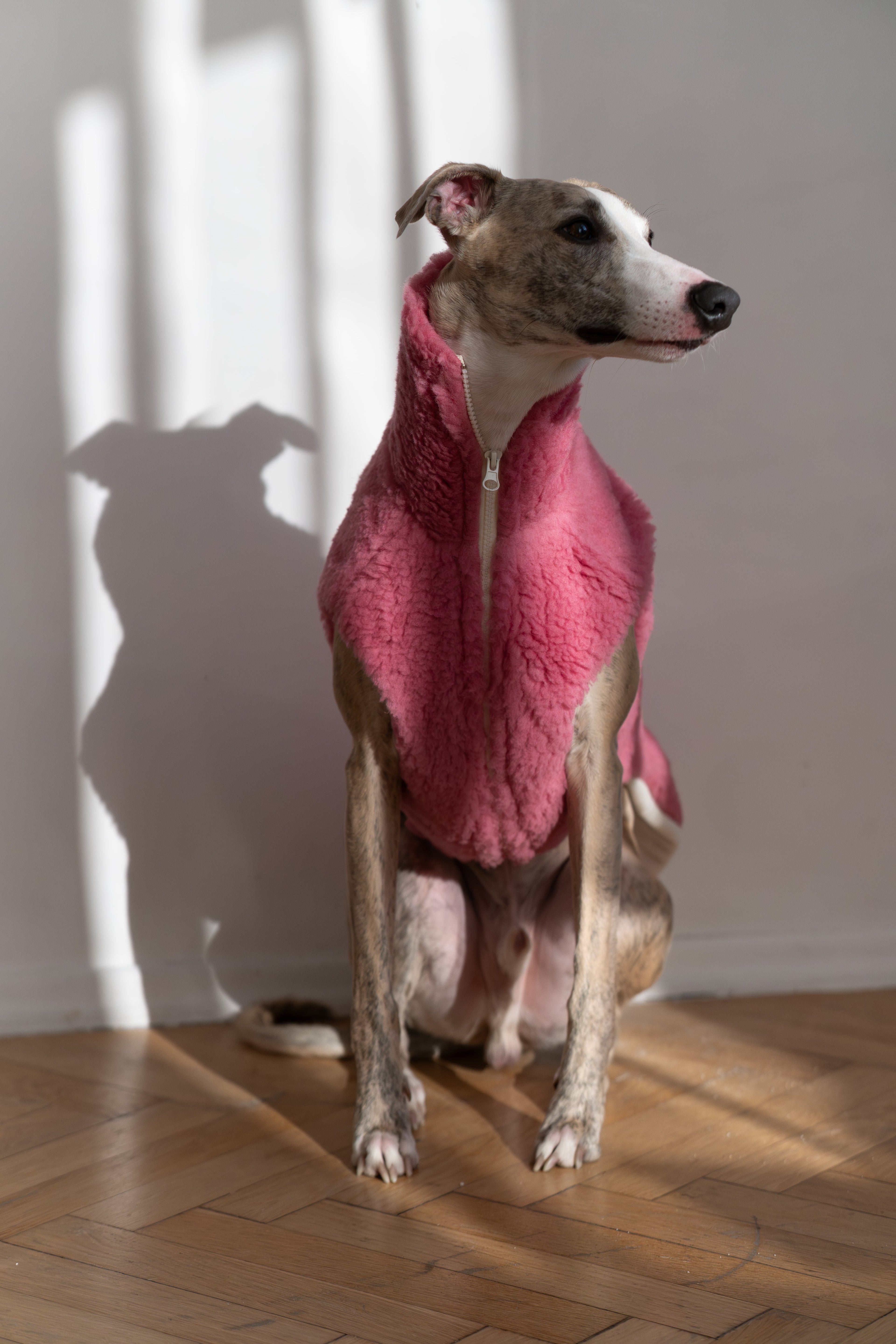 Premium Woolen Dog Vest - Virgin Teddy Wool, Breathable Lining - Pink