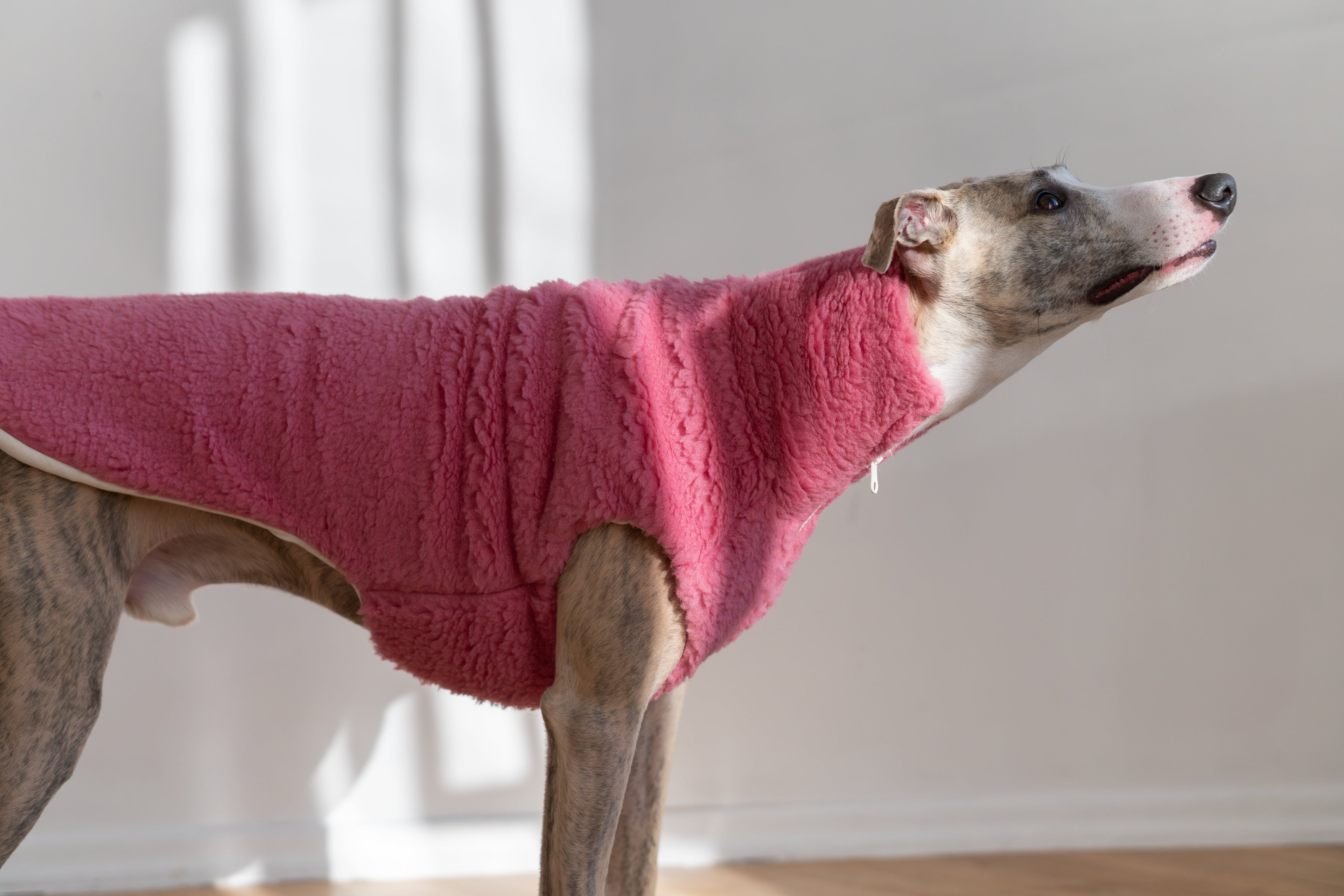 Premium Woolen Dog Vest - Virgin Teddy Wool, Breathable Lining - Pink