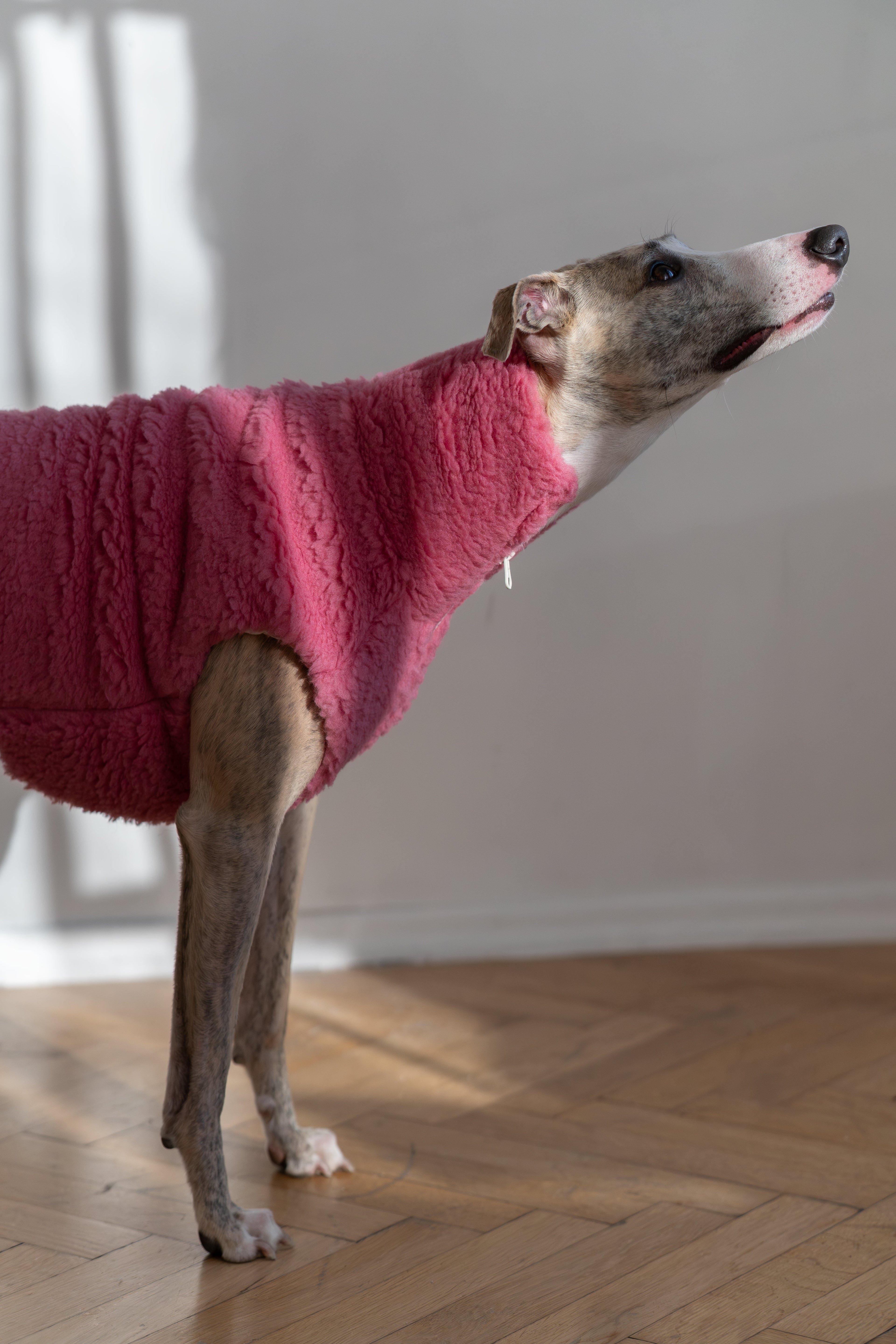 Premium Woolen Dog Vest - Virgin Teddy Wool, Breathable Lining - Pink