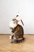 Natural Sheepskin Cat Toy Mouse - 100% Sheepskin with Bell - Handmade in EU