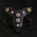 Luxury Bijou Dog Harness - Genuine Leather with Red Rhinestones - Handmade in Europe