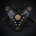 Luxury Maximus Dog Harness - 4mm Genuine Leather, Brass Hardware - Black & Gold